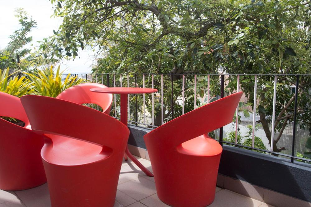 Rochinha Cozy Home Funchal  Ngoại thất bức ảnh